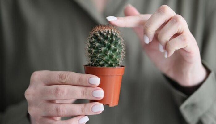 Artículo: Qué hacer si te pinchas con un cactus: cómo quitar las espinas y tratar las heridas